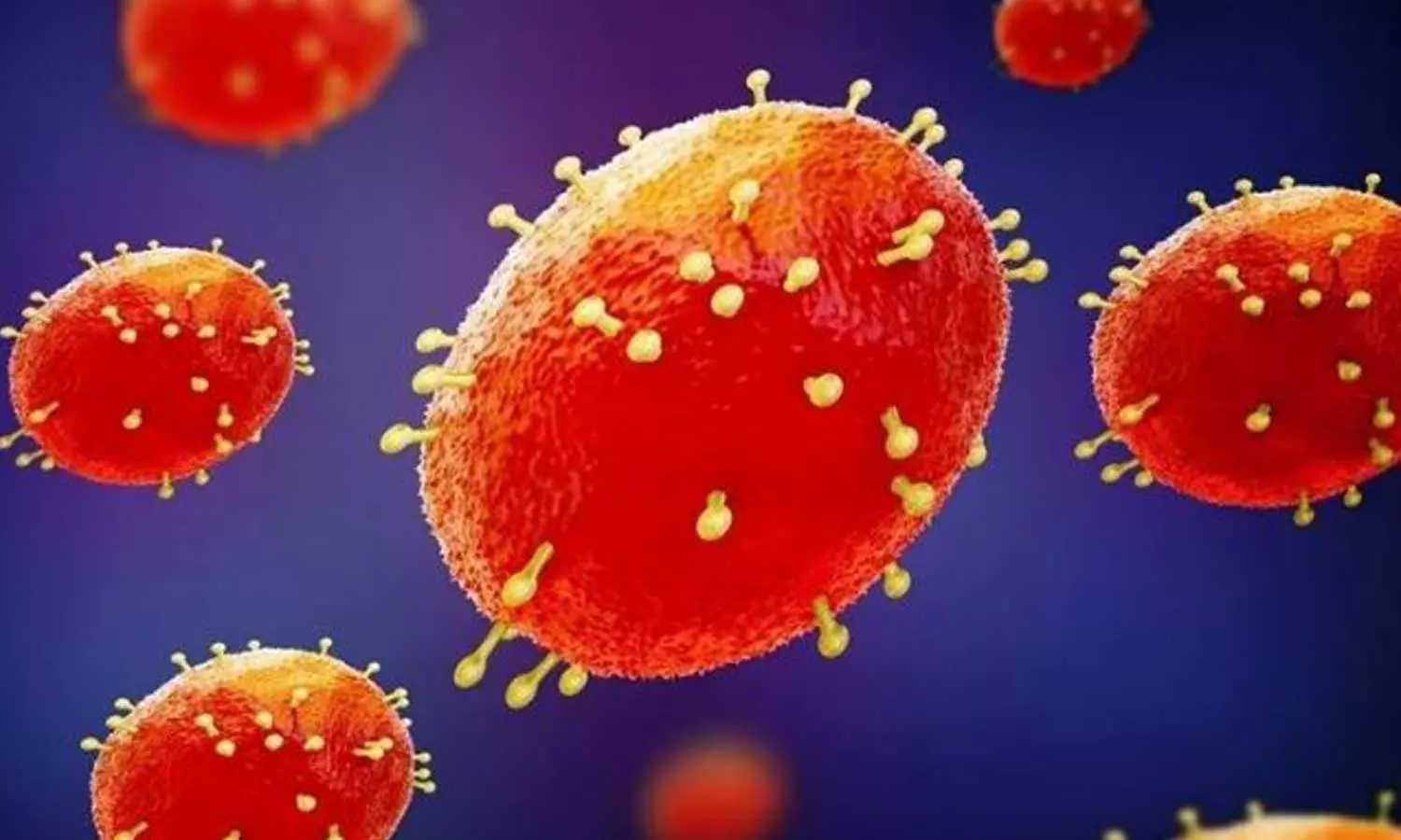 കേരളത്തിൽ കുരങ്ങ് വസൂരിയെന്ന് സംശയം; പരിശോധനാഫലം വൈകിട്ടോടെ