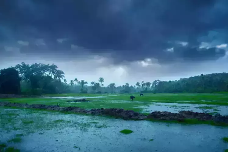സംസ്ഥാനത്ത് കനത്ത മഴ തുടരുന്നു; ആറ് ജില്ലകളിൽ യെല്ലോ അലർട്ട്