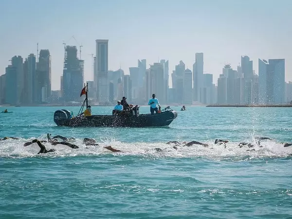 ലോകകപ്പിന് പിന്നാലെ ഫിന ലോക ചാമ്പ്യൻഷിപ്പിനും ആതിഥേയത്വം വഹിക്കാൻ ഖത്തർ ലോകകപ്പിന് പിന്നാലെ ഫിന ലോക ചാമ്പ്യൻഷിപ്പിനും ആതിഥേയത്വം വഹിക്കാൻ ഖത്തർ