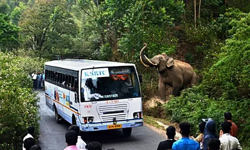 ഭൂമിയുടെ അവകാശികളാരാണ്? ഭൂമിയുടെ അവകാശികളാരാണ്?