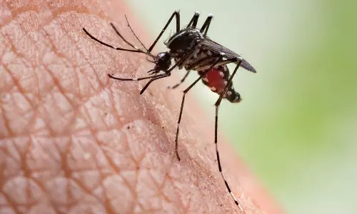 വീട്ടിൽ കയറി മോഷണം; കള്ളനെ പിടികൂടാൻ പൊലീസിന് തുണയായത് ചത്ത കൊതുകിന്റെ രക്തം