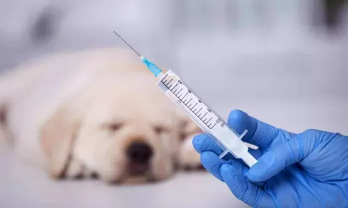 വളർത്തുനായകൾക്ക് വാക്സിനേഷൻ നിർബന്ധം; പേവിഷബാധ മരണം ഒഴിവാക്കാന്‍ പ്രത്യേക കര്‍മ്മപരിപാടി