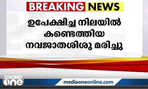 കരുനാഗപ്പള്ളിയിൽ ഉപേക്ഷിച്ച നിലയിൽ കണ്ടെത്തിയ നവജാതശിശു മരിച്ചു