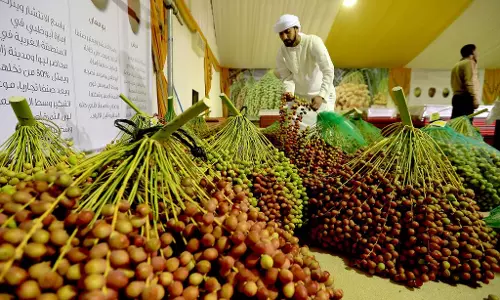 ഖത്തർ ലോക്കൽ ഡേറ്റ്‌സ് ഫെസ്റ്റിവലിന് ഇന്ന് തുടക്കം