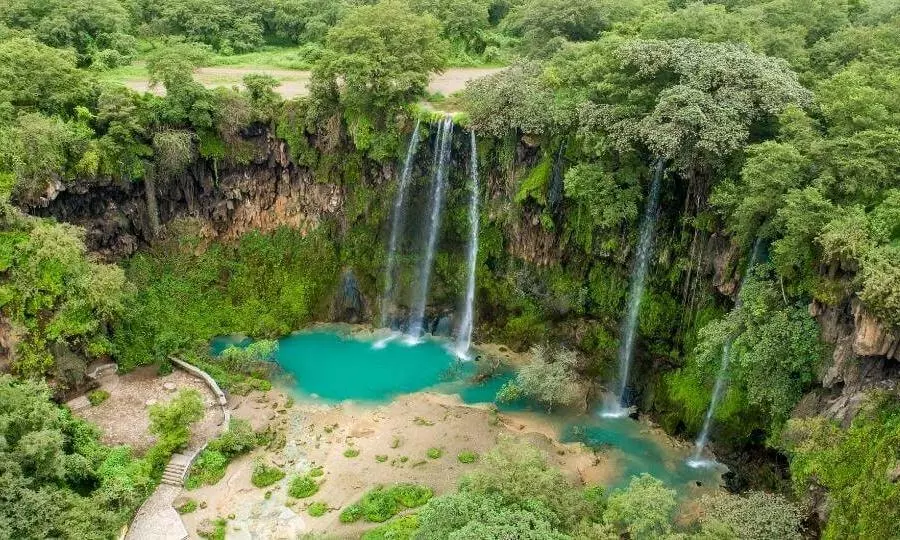 മികച്ച അറബ് ടൂറിസ്റ്റ് കേന്ദ്രമായി സലാലയെ തെരഞ്ഞെടുത്തു മികച്ച അറബ് ടൂറിസ്റ്റ് കേന്ദ്രമായി സലാലയെ തെരഞ്ഞെടുത്തു