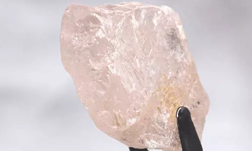 170 കാരറ്റ്, കോടിക്കണക്കിന് രൂപയുടെ മൂല്യം; അപൂർവ പിങ്ക് ഡയമണ്ട് അംഗോളയിൽ കണ്ടെത്തി