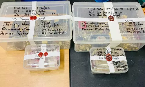 10 കോടിയുടെ പണവും ആഭരണങ്ങളും കവർന്നു; ഡൽഹിയിൽ വീട്ടുജോലിക്കാരനും ബന്ധുവും അറസ്റ്റിൽ