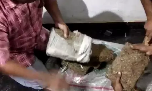 കൊണ്ടോട്ടി മൊറയൂരിൽ 75 കിലോ കഞ്ചാവും 52 ഗ്രാം എംഡിഎംഎയുമായി ദമ്പതികൾ ഉൾപ്പെടെ മൂന്നുപേർ അറസ്റ്റിൽ