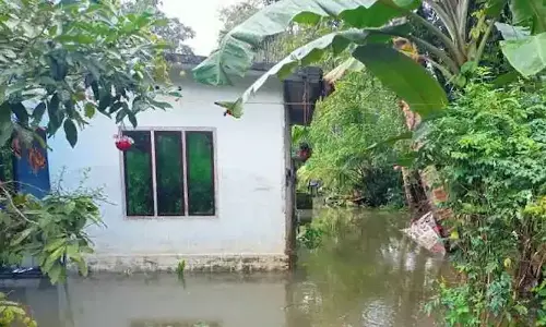 മഴക്കെടുതി: 6411 പേരെ മാറ്റിപ്പാർപ്പിച്ചു; 221 ദുരിതാശ്വാസ ക്യാംപുകൾ തുറന്നു മഴക്കെടുതി: 6411 പേരെ മാറ്റിപ്പാർപ്പിച്ചു; 221 ദുരിതാശ്വാസ ക്യാംപുകൾ തുറന്നു