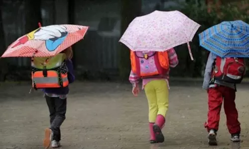 വിദ്യാഭ്യാസ സ്ഥാപനങ്ങൾക്ക് അവധി; വ്യാജ വാർത്ത പ്രചരിപ്പിക്കുന്നവർക്കെതിരെ നടപടി സ്വീകരിക്കുമെന്ന് മലപ്പുറം കലക്ടർ