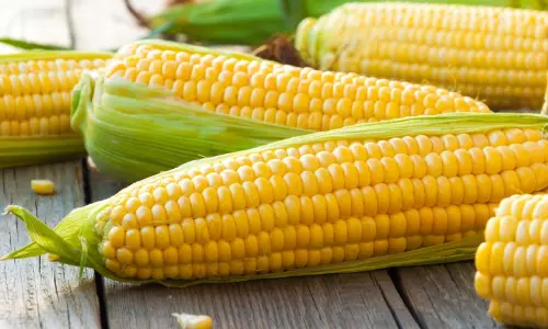 ചോളം; മഴക്കാലത്ത് കഴിക്കേണ്ട സൂപ്പര്‍ ഫുഡ്