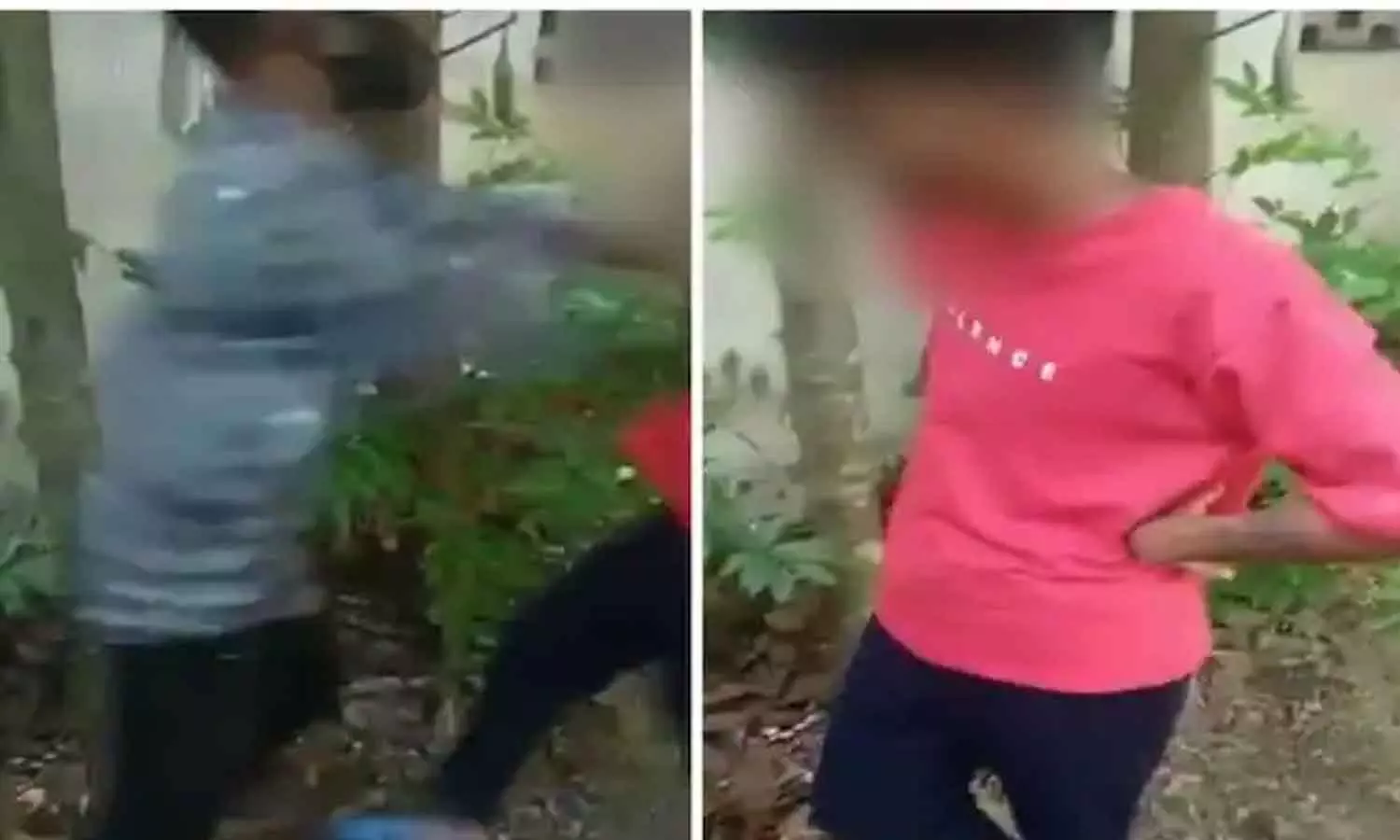 യുവാവിനെ മർദിച്ചതിന് അറസ്റ്റിലായ രാഹുൽ, മറ്റൊരു യുവാവിനെ തല്ലുന്ന ദൃശ്യങ്ങളും പുറത്ത്