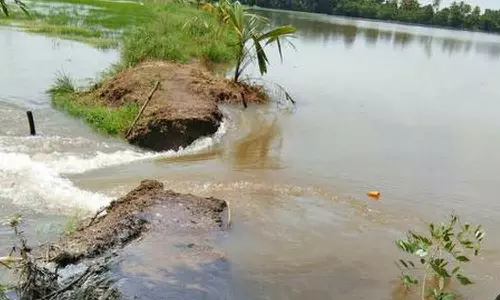 കുട്ടനാട്ടിൽ വീണ്ടും മടവീഴ്ച, വൻ കൃഷിനാശം