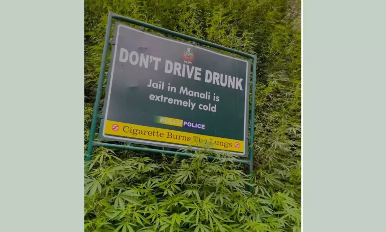 പുകവലിക്കരുത്; അത് നിങ്ങളുടെ ശ്വാസകോശത്തെ കത്തിക്കും; കുളു പൊലീസിന്റെ മുന്നറിയിപ്പ് ബോർഡ് കണ്ട് പൊട്ടിച്ചിരിച്ച് സോഷ്യൽമീഡിയ