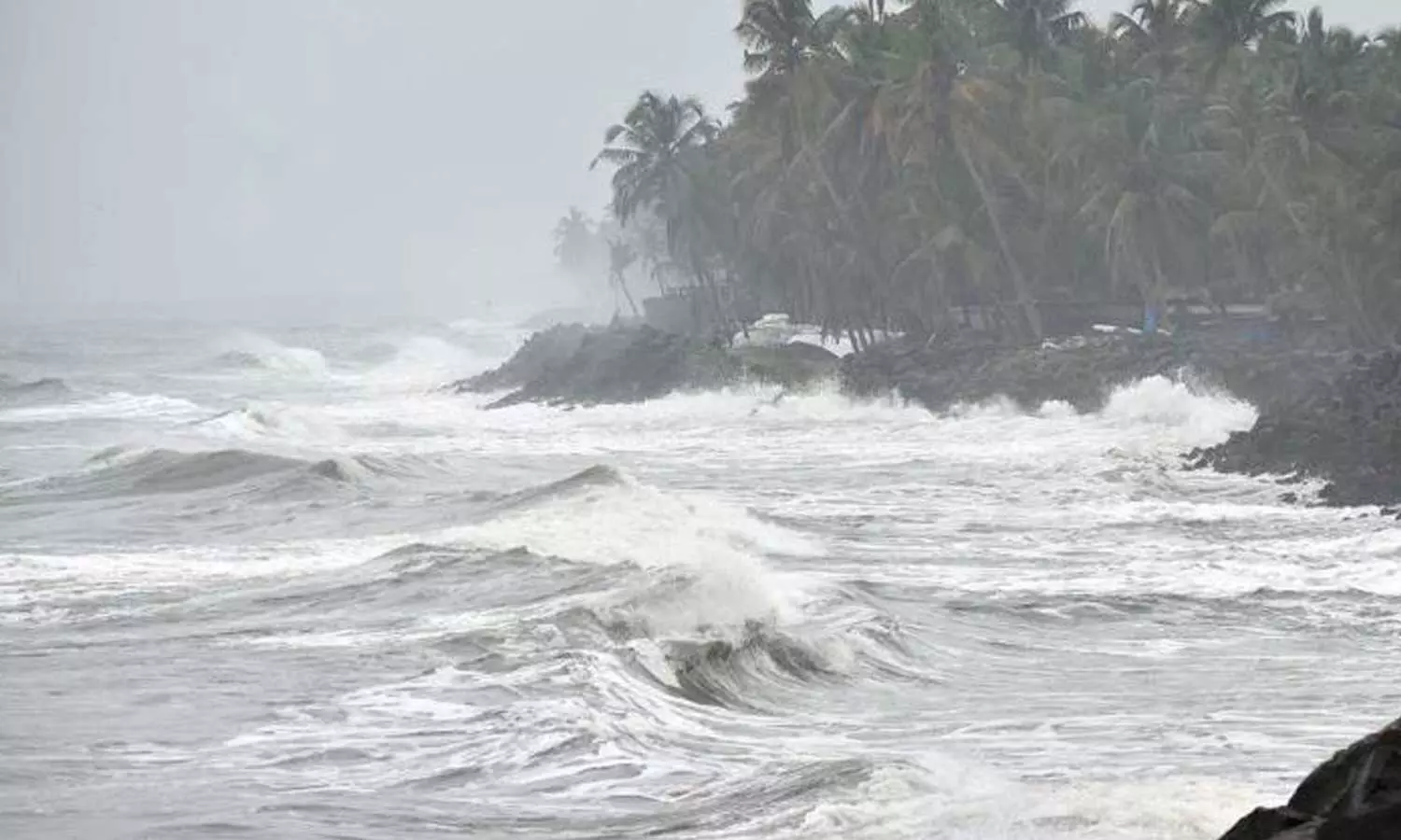 ആലപ്പുഴയിൽ പൊന്തുവള്ളം മറിഞ്ഞ് മത്സ്യത്തൊഴിലാളി മരിച്ചു