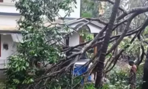 മിന്നൽചുഴലി; കോഴിക്കോട്ട് വീടുകൾക്ക് മുകളിൽ മരങ്ങൾ കടപുഴകി വീണു, വ്യാപക നാശനഷ്ടം മിന്നൽചുഴലി; കോഴിക്കോട്ട് വീടുകൾക്ക് മുകളിൽ മരങ്ങൾ കടപുഴകി വീണു, വ്യാപക നാശനഷ്ടം