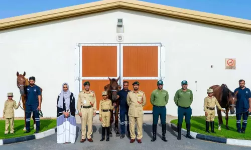 സമ്മർക്യാമ്പിൽ പങ്കെടുത്ത കുട്ടികൾക്ക് കുതിരകളെ സമ്മാനിച്ച് ദുബൈ പൊലീസ് സമ്മർക്യാമ്പിൽ പങ്കെടുത്ത കുട്ടികൾക്ക് കുതിരകളെ സമ്മാനിച്ച് ദുബൈ പൊലീസ്
