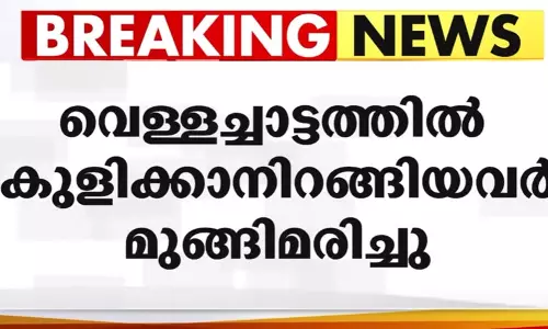 തൃശൂരിൽ വെള്ളച്ചാട്ടത്തിൽ കുളിക്കാനിറങ്ങിയ രണ്ട് യുവാക്കൾ മുങ്ങിമരിച്ചു തൃശൂരിൽ വെള്ളച്ചാട്ടത്തിൽ കുളിക്കാനിറങ്ങിയ രണ്ട് യുവാക്കൾ മുങ്ങിമരിച്ചു
