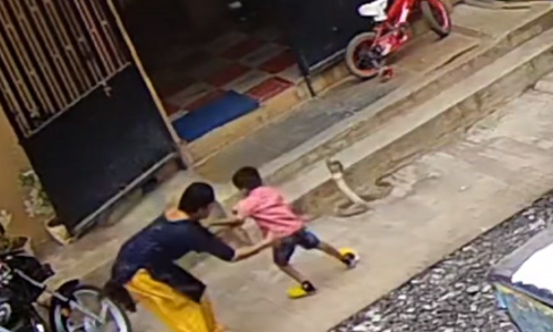 വീടിന്‍റെ പടിക്കെട്ടിന് സമീപം പത്തി വിടര്‍ത്തി മൂര്‍ഖന്‍; താഴേക്കിറങ്ങിയ കുഞ്ഞിനെ കൊത്താനാഞ്ഞ് പാമ്പ്: ഞെട്ടിപ്പിക്കുന്ന വീഡിയോ