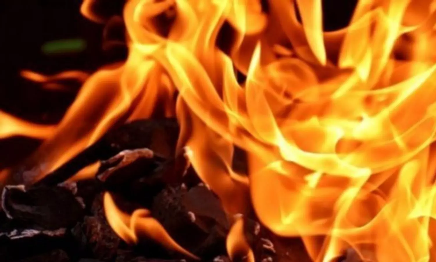 കൊച്ചിയിൽ വീടിന് തീപിടിച്ച് സ്ത്രീ മരിച്ചു