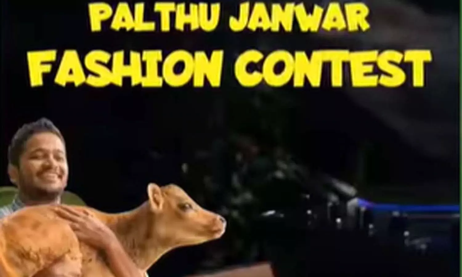 പാൽതു ജാൻവർ ഫാഷൻ മത്സരം: ആകർഷകമായ സമ്മാനങ്ങൾ സ്വന്തമാക്കൂ