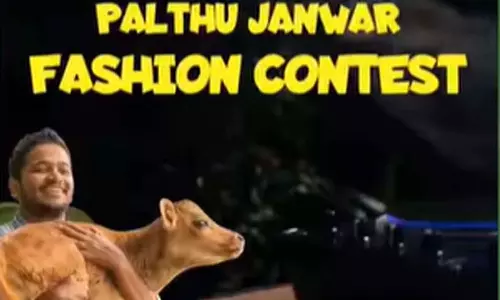 പാൽതു ജാൻവർ ഫാഷൻ മത്സരം: ആകർഷകമായ സമ്മാനങ്ങൾ സ്വന്തമാക്കൂ