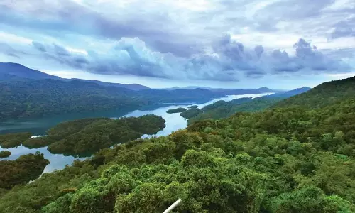 ബഫർ സോൺ; കേരളം സുപ്രീം കോടതിയിൽ പുനഃപരിശോധന ഹർജി നൽകി