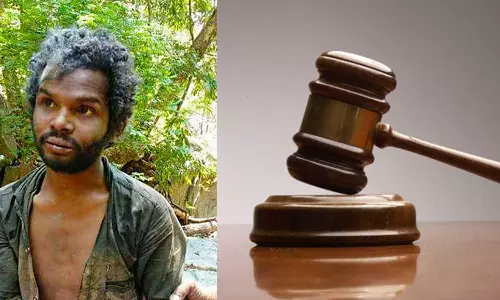 അട്ടപ്പാടി മധു വധക്കേസിലെ പ്രതികളുടെ ജാമ്യം റദ്ദാക്കണമെന്ന് ഹരജിയിൽ ഇന്ന് കോടതി വിധി പറയും