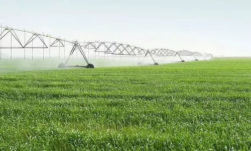 സൗദിയിൽ കാർഷിക മേഖലയിലെ നാല് തൊഴിൽ മേഖലയിൽ കൂടി സൗദിവൽക്കരണം നടപ്പാക്കുന്നു