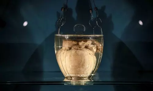 സ്വാതന്ത്ര്യത്തിന്റെ 200 വര്‍ഷങ്ങള്‍: ചക്രവര്‍ത്തിയുടെ എംബാം ചെയ്ത ഹൃദയം പ്രദര്‍ശനത്തിന് വയ്ക്കാന്‍ ബ്രസീല്‍