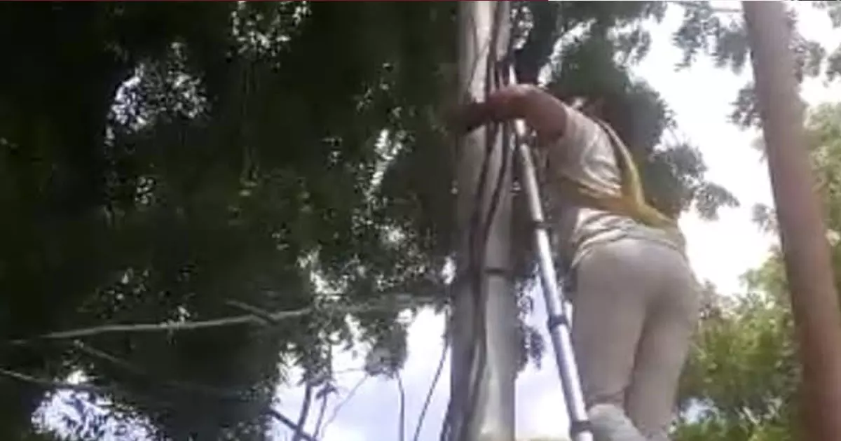 ശമ്പളം 5000 രൂപ, ഹെൽമറ്റില്ലാത്തതിന് 6000 പിഴ ചുമത്തി; പൊലീസ് സ്‌റ്റേഷനിലെ വൈദ്യുതി ബന്ധം വിച്ഛേദിച്ച് ലൈൻമാൻ, വീഡിയോ