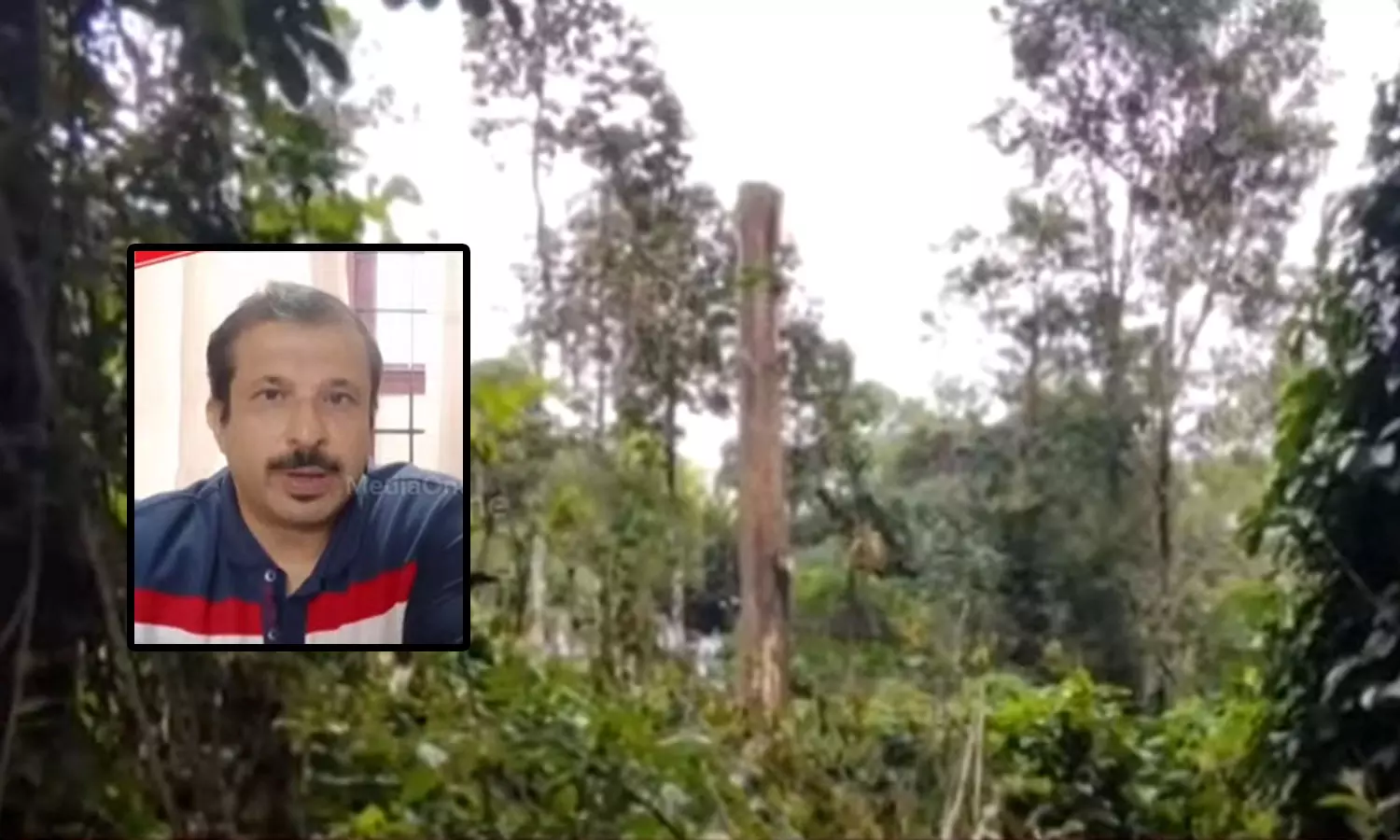 കൃഷ്ണഗിരിയിലെ അനധികൃത മരംമുറി; വില്ലേജ് ഓഫീസർക്ക് സസ്പെൻഷൻ