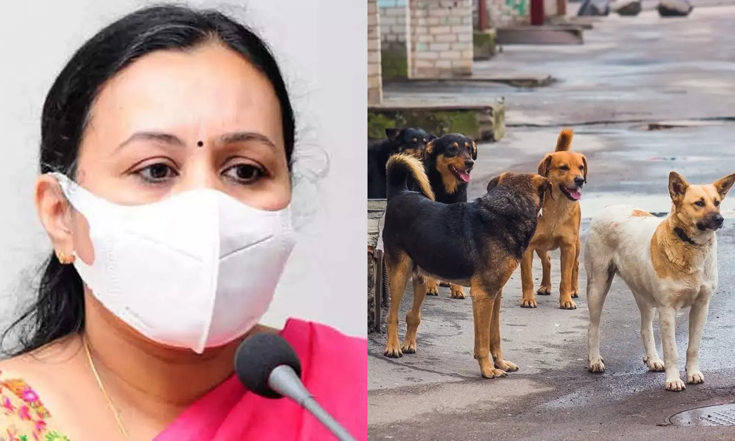 പേവിഷബാധാ മരണം: കൂടുതൽ പേരും വാക്‌സിനെടുത്തിരുന്നില്ലെന്ന് ആരോഗ്യമന്ത്രി