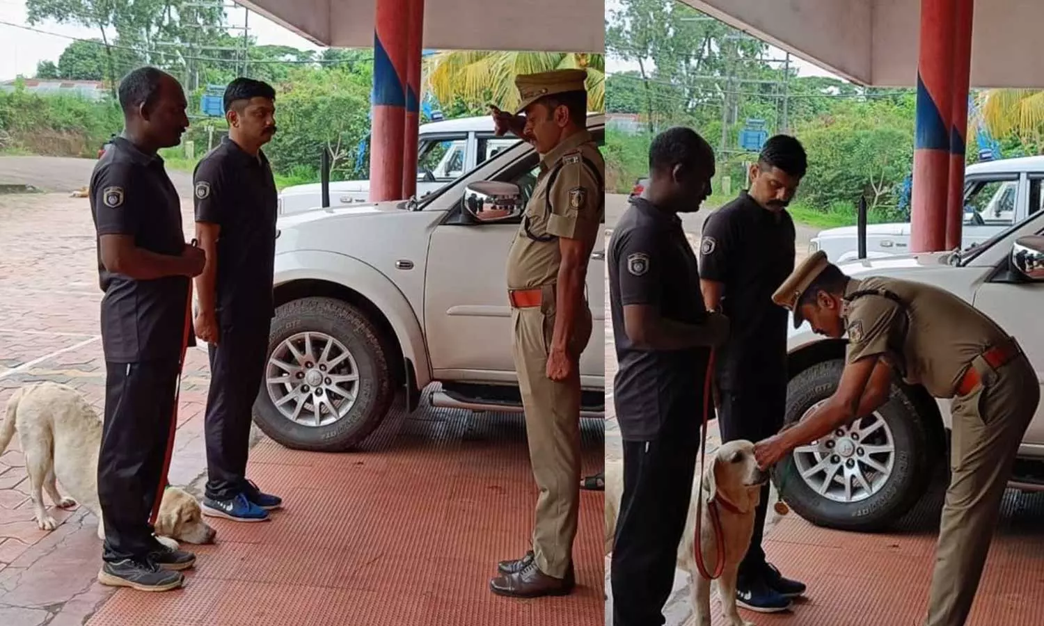 കുറ്റാന്വേഷണ ജീവിതം അവസാനിപ്പിച്ചു; റൂണിക്ക് ഇനി വിശ്രമം കുറ്റാന്വേഷണ ജീവിതം അവസാനിപ്പിച്ചു; റൂണിക്ക് ഇനി വിശ്രമം