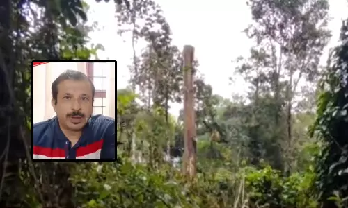 കൃഷ്ണഗിരിയിലെ അനധികൃത മരംമുറി; വില്ലേജ് ഓഫീസർക്ക് സസ്പെൻഷൻ