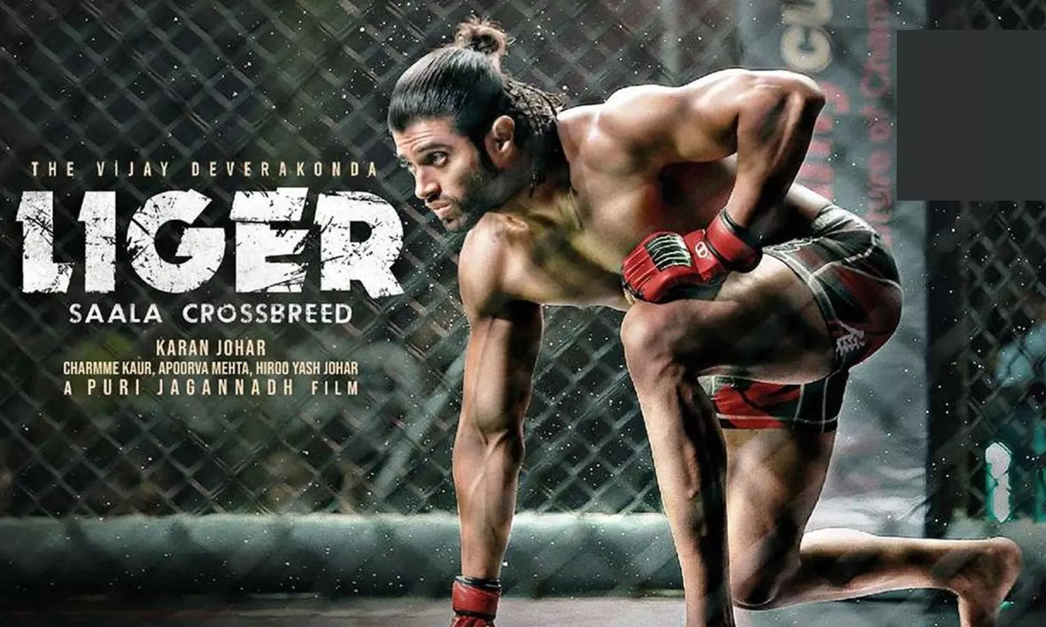 നെഗറ്റീവ് പബ്ലിസിറ്റി സിനിമയെ ബാധിച്ചോ? ലൈഗർ ആദ്യ ദിനം നേടിയത്