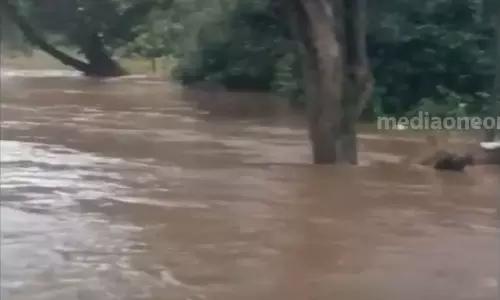 നെല്ലിയാമ്പതിയിൽ കനത്തമഴ; നൂറടിപ്പുഴ കരകവിഞ്ഞു; വീടുകളിലും കടകളിലും വെള്ളം നെല്ലിയാമ്പതിയിൽ കനത്തമഴ; നൂറടിപ്പുഴ കരകവിഞ്ഞു; വീടുകളിലും കടകളിലും വെള്ളം