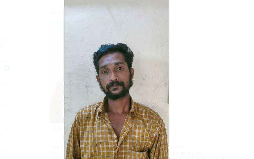 വൃദ്ധയെ പീഡിപ്പിക്കാൻ ശ്രമിച്ച ബന്ധു അറസ്റ്റിൽ