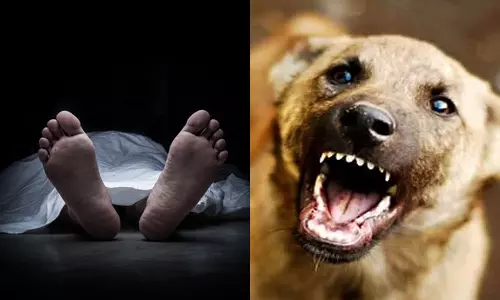 തൃശൂരിൽ തെരുവുനായയുടെ കടിയേറ്റ ആദിവാസി സ്ത്രീ മരിച്ചു