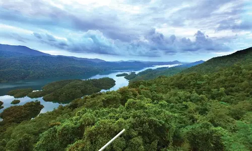 ബഫര്‍സോണ്‍: ഉപഗ്രഹ സർവേക്ക് പുറമെ നേരിട്ടുള്ള പരിശോധനയും നടത്തുമെന്ന് സർക്കാർ