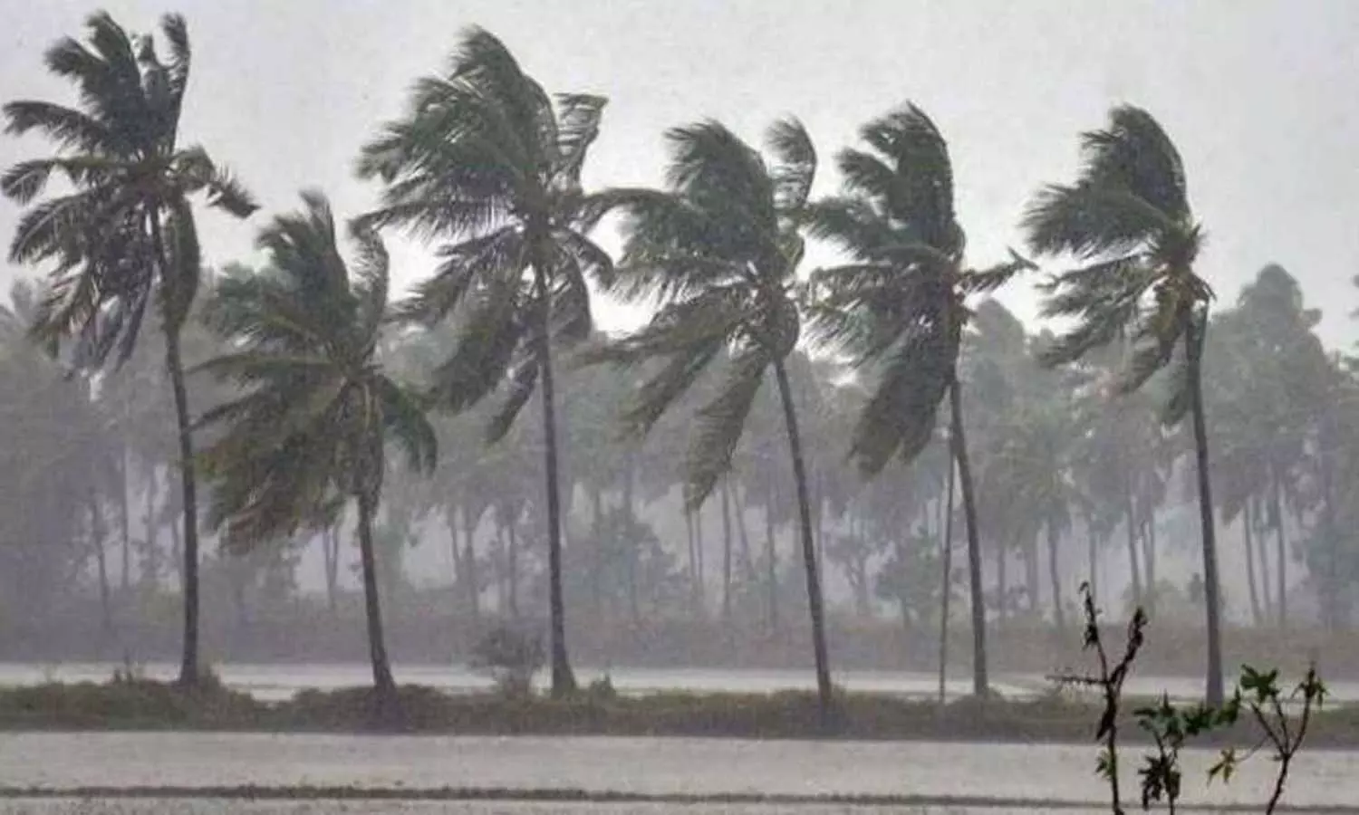 ചക്രവാതച്ചുഴി; മധ്യകേരളത്തിൽ അതിശക്തമായ മഴക്ക് സാധ്യത