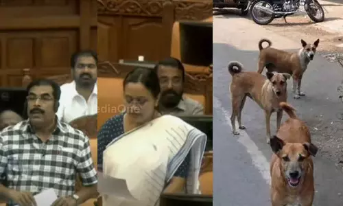 ലോകായുക്തയുടെ പല്ല് അല്ല നായയുടെ പല്ലാണ് പറിക്കേണ്ടത്:  തെരുവ്നായ ശല്യം നിയമസഭയിൽ ഉന്നയിച്ച് പ്രതിപക്ഷം
