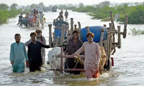 വെള്ളപ്പൊക്കം ബാധിച്ച പാകിസ്താൻ   ജനതക്ക് സഹായവുമായി യു.എ.ഇ