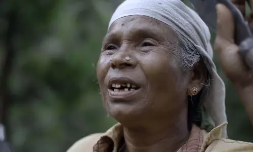 നഞ്ചിയമ്മയുടെ ഭൂമിയിൽ കയ്യേറ്റം; അന്വേഷണത്തിന് റവന്യൂ വിജിലൻസ്