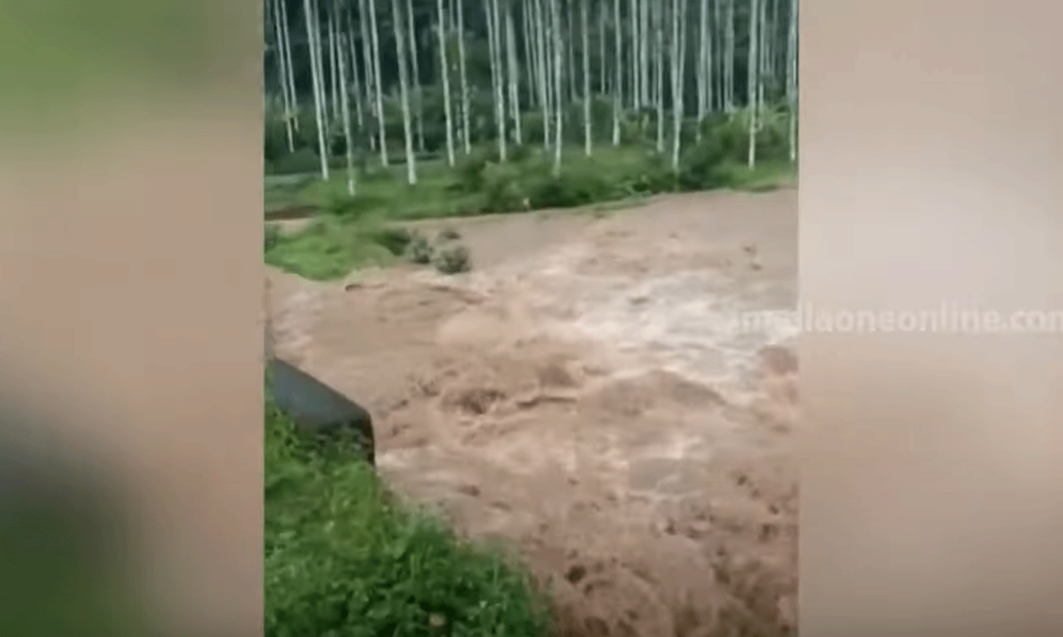 സംസ്ഥാനത്ത് ഒറ്റപ്പെട്ട കനത്ത മഴയിൽ വ്യാപക നാശനഷ്ടം