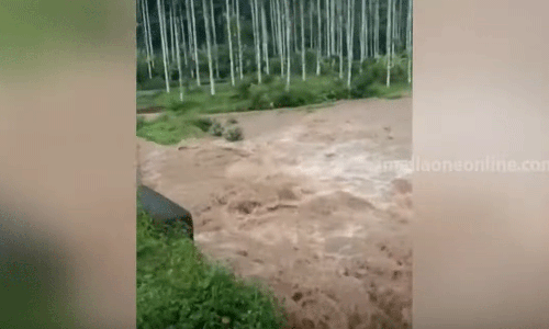 സംസ്ഥാനത്ത് ഒറ്റപ്പെട്ട കനത്ത മഴയിൽ വ്യാപക നാശനഷ്ടം