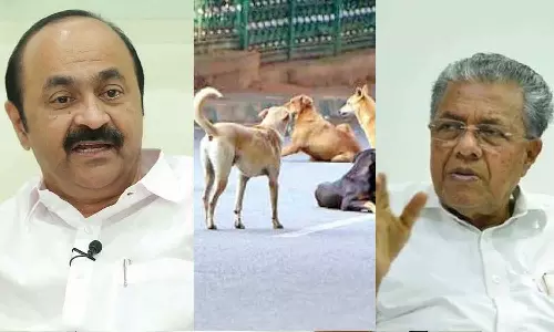 തെരുവുനായ ശല്യം: സർക്കാർ നിസ്സംഗമായി നോക്കിനിൽക്കുകയാണെന്ന് വി.ഡി സതീശൻ