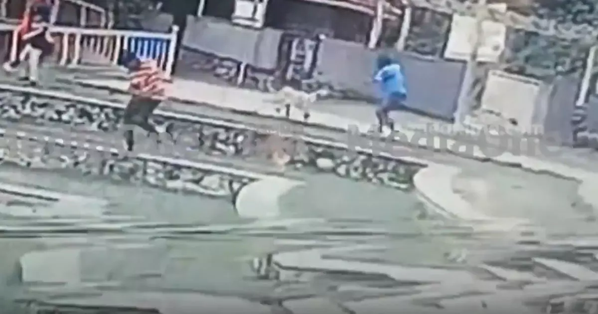 വിനോദസഞ്ചാരികളുടെ സുരക്ഷ ഉറപ്പാക്കുന്നതിനിടെ സെക്യൂരിറ്റി ജീവനക്കാരനെ തെരുവുനായ കടിച്ചു വിനോദസഞ്ചാരികളുടെ സുരക്ഷ ഉറപ്പാക്കുന്നതിനിടെ സെക്യൂരിറ്റി ജീവനക്കാരനെ തെരുവുനായ കടിച്ചു