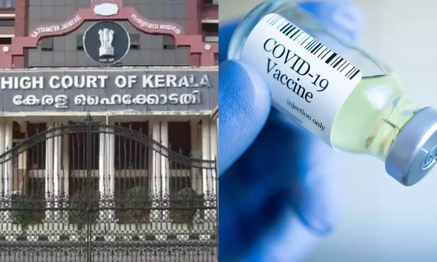 കോവിഡ് വാക്സിന്റെ പാർശ്വഫലം മൂലം മരണമുണ്ടാകുന്നതായി സംശയം; നഷ്ടപരിഹാരം നൽകണമെന്ന് ഹൈക്കോടതി കോവിഡ് വാക്സിന്റെ പാർശ്വഫലം മൂലം മരണമുണ്ടാകുന്നതായി സംശയം; നഷ്ടപരിഹാരം നൽകണമെന്ന് ഹൈക്കോടതി
