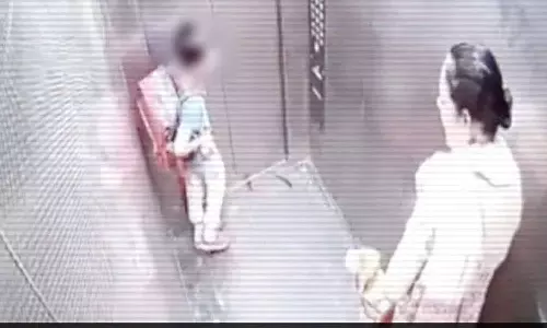 ലിഫ്റ്റിനുള്ളിൽ വെച്ച് കുട്ടിയെ ആക്രമിച്ച് നായ, നോക്കി നിന്ന് ഉടമ - വീഡിയോ